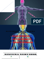 Sistema Nervioso