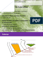Clase-Diversidad Embriofitas