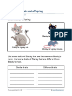 Worksheets:science:grade 2 Animal Traits A