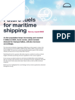 Future Fuels For Marine Shipping