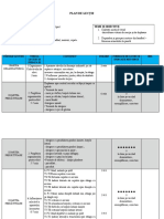 Plan Handbal Cornelia Saracuti