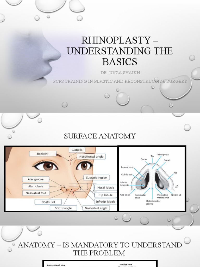 RHINOPLASTY - Understanding The Basics | PDF | Human Nose | Clinical ...