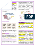 Diabetes Resumen Quick