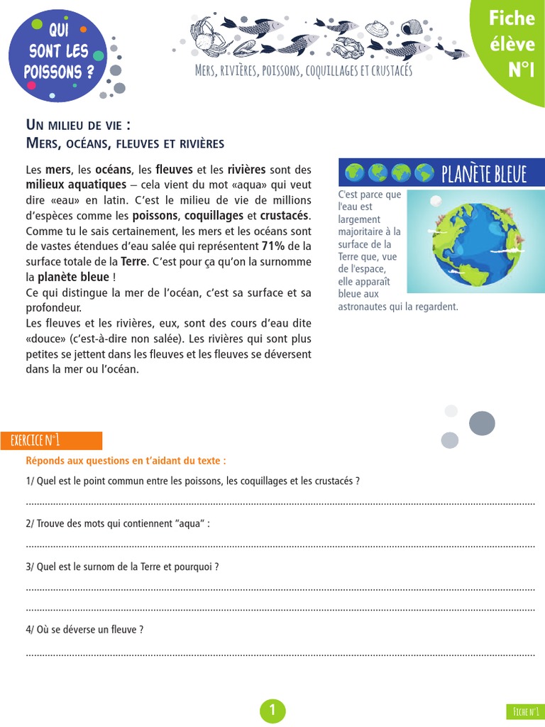 Branchies et respiration des poissons | PDF | Branchie | Poisson
