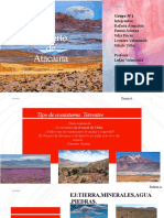 Presentación Desierto de Atacama