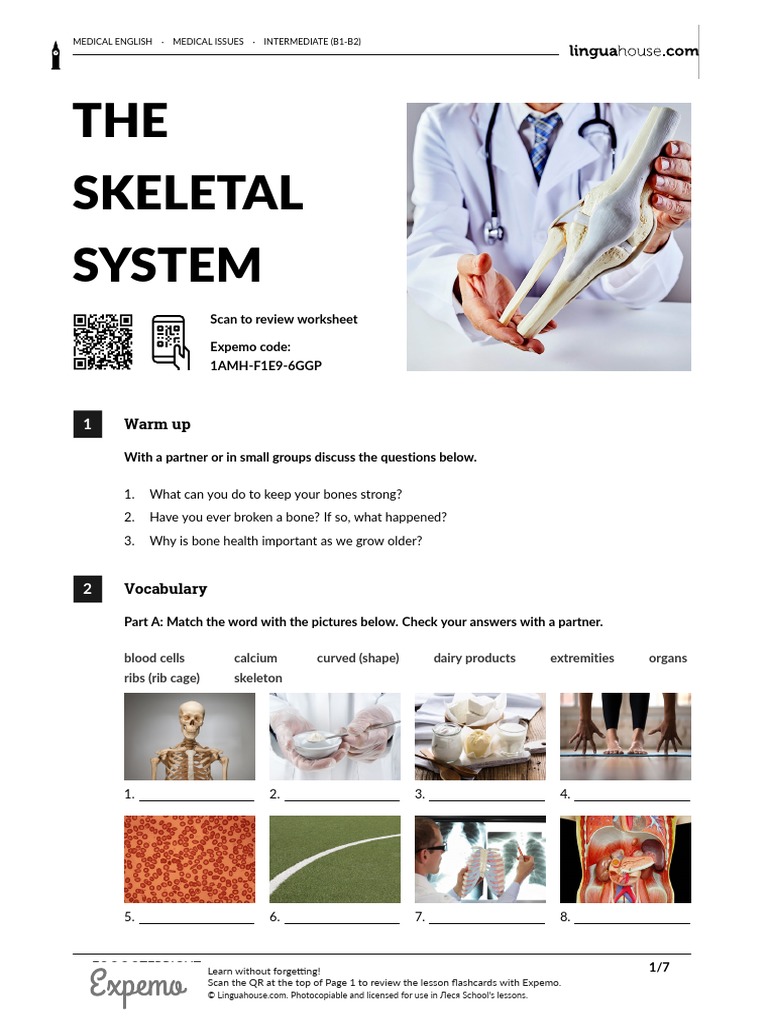 TheSkeletalSystemBritishEnglishTeacher PDF Space Exploration