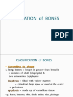 DIT 104 LEC 1 - Classification & Types of Bones