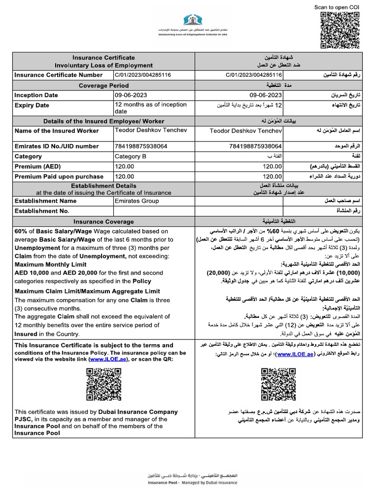 Unemployment Insurance | PDF