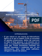 Modulo Deshidratacion Del Gas Natural