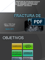 Seminariodefxpelvis2013 160523155346