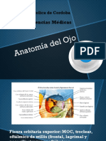 Anatomia - Del - Ojo Franco