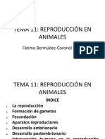 Tema 11