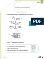 El Mundo de Las Plantas