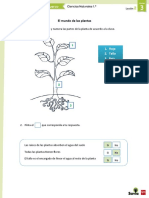 El Mundo de Las Plantas: 1. Hoja 2. Tallo 3. Raíz