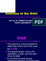 Orbit