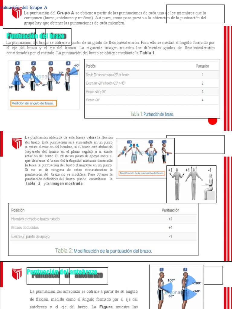 S7 M Todo Rula Rapid Upper Limb Assessment Pdf