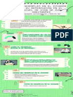 Infografía ECONOMIA