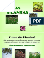 As Plantas 1