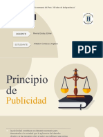 Principios Derecho Procesal Penal