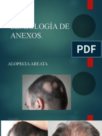 Semiología de Anexos