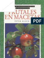 Plantas - Frutales en Macetas