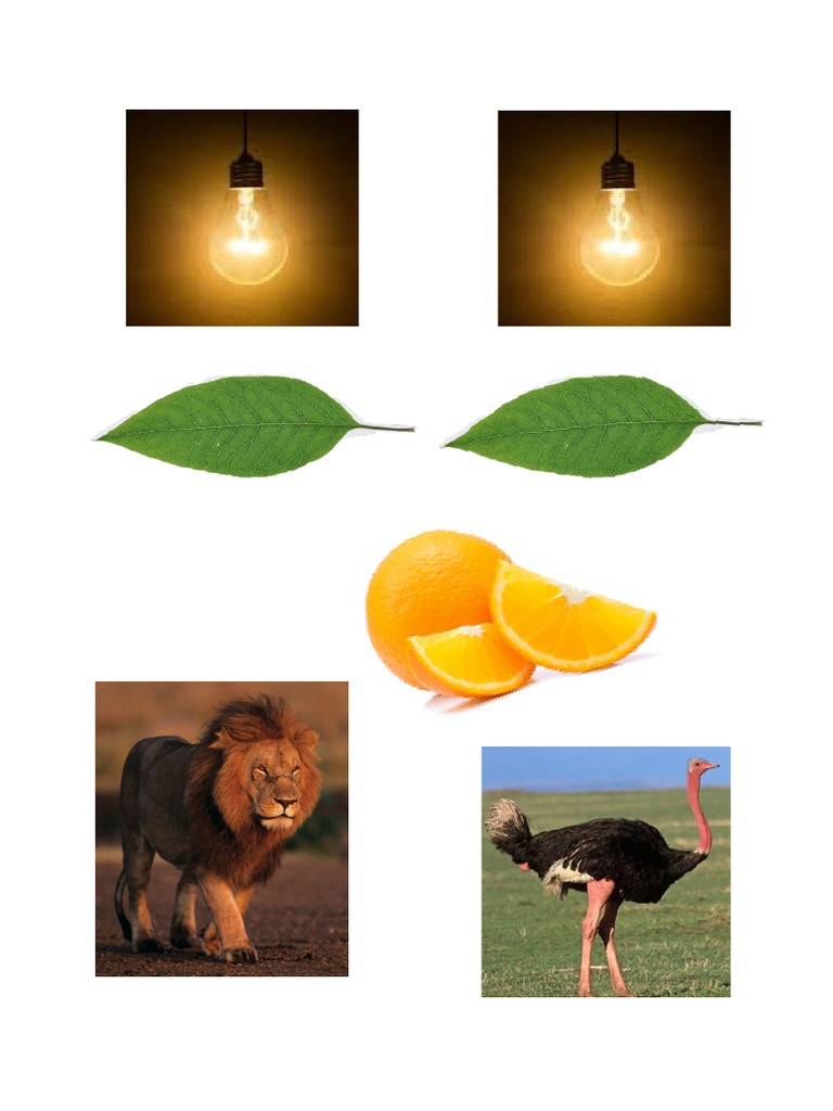 oo-ll-pdf