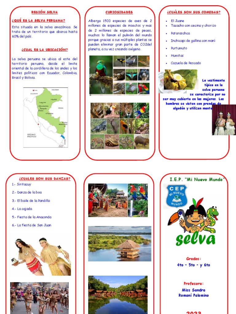 La Selva Peruana: Costumbres y Curiosidades | PDF | Selva amazónica
