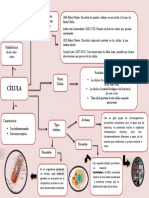 Cuadro Sinoptico de La Celula 2