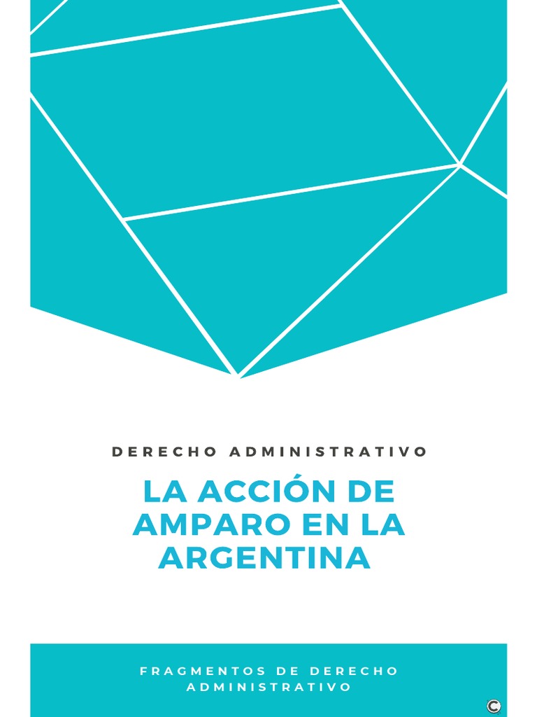 La Accion de Amparo en La Argentina | PDF | Habeas corpus | Caso de ley
