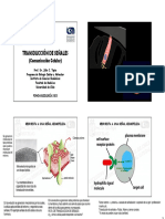 Clase Transducci N de Se Ales Editado Parte 1 AVANCE