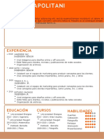 Curriculum Vitae A4 Formal Simple Naranja
