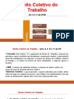 Aula de Direito Coletivo PDF