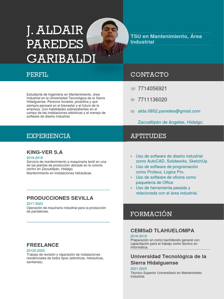 CURRICULUM VITAE | PDF | Informática | Ingeniería