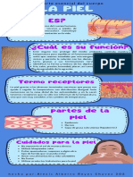 Infografia de La Piel - AlexisAlbertoReyesChavez - 202