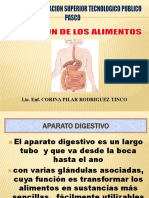 Digestion de Los Alimentos