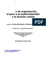 Capítulo 8. Niveles de Organización El Paso A La Multicelularidad y La División Celular