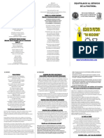Triptico Pastoral PDF