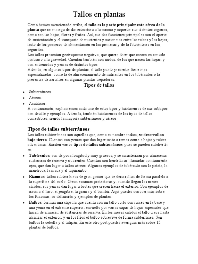 Tallos en Plantas | PDF | Tallo de la planta | Plantas