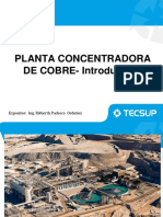 PLANTA CONCENTRADORA DE COBRE Introducción