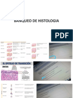 Banqueo Histologia Teoria - Parcial