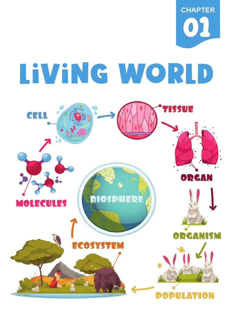 Living world pdf reproduction biological classification
