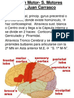 Clase II Examen Neurologico