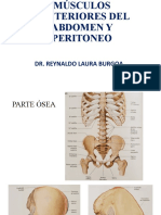 Musculos Post. Peritoneo