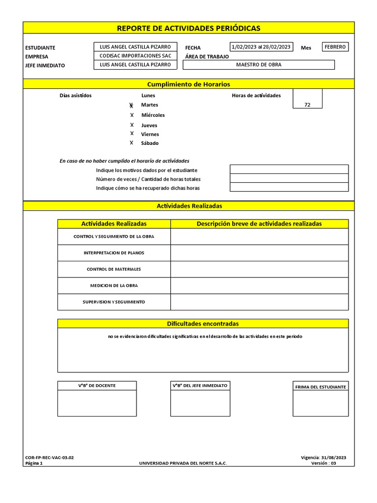 Reporte de Actividades de Luis Castilla | PDF