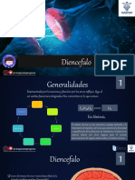 Diencefalo