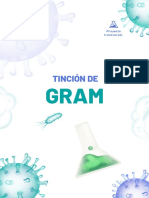 Práctica Tinción Gramm