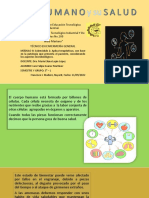 Tema 1 Patología