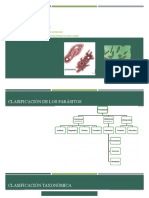 Teórico 8 Protozoarios