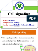 Cell Biology Thirteen