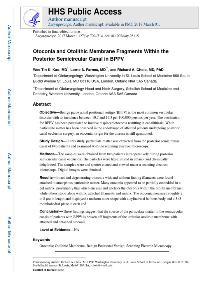 Conquer Otolithic Membrane Labeling Expert Strategies Revealed - wc7yc0r